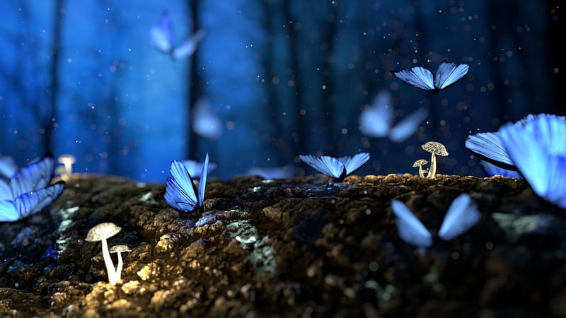Enchanted Carvings